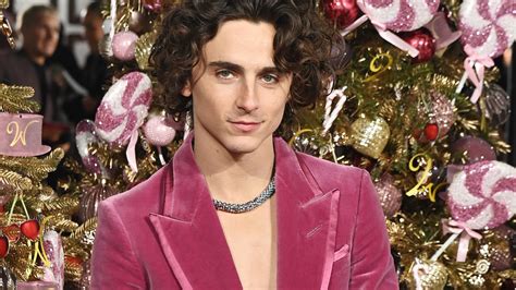 timothee chalamet cartier necklace price|chalamet cartier wonka necklace.